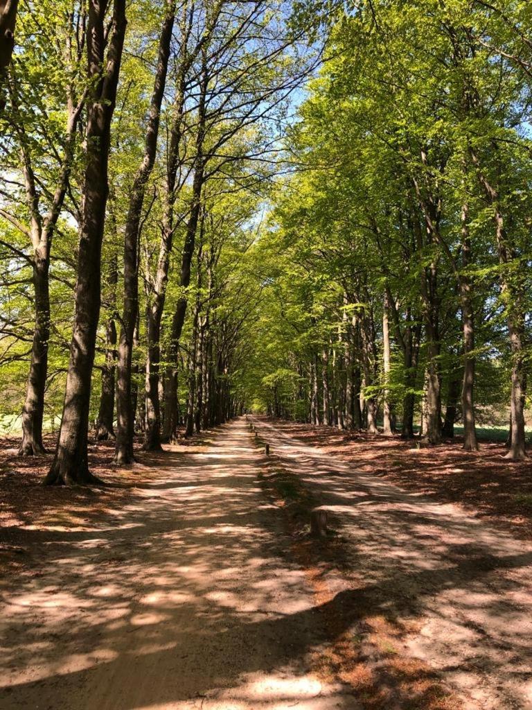Der Maas Ootmarsum
